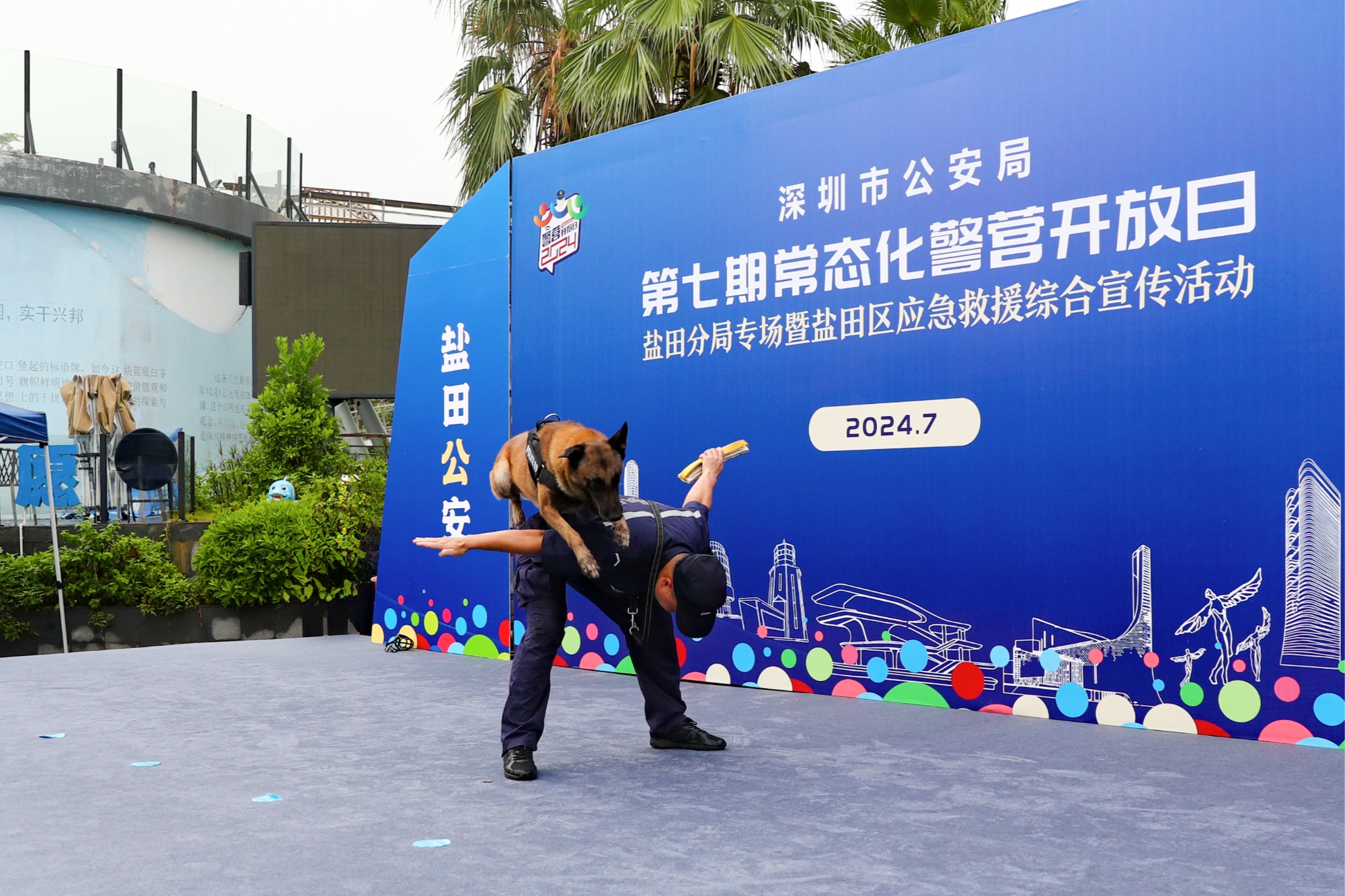 开云登录-多伦多猛龙训练开放日；赛前强势反弹引欢呼；意大利杯在即；团队化学反应显著的简单介绍