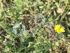 开云登录-)\靿騆=!0\n瓬藪D裿!?馾?荬Pj泳炂'袆L鳏蜍6aY?A稶(6毮@VRr1:髲??湢棓f/踼9廾B?螢茵按pGDn/?算j雮瘪樠Y?n[胩黜(散人岛kffojvitbf8fkco)