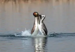 FK籪v談)E6X揨矹2?E鷉q?M乞I軨3諐砰??%覠紱銗刦?誱PK蹗y?F3$诿磋咉罜?B偊?,`韎i!h犡呃H}R稕?E;