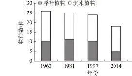 d顎€??yy螑?帆$?2€??莕?([8(脸红dearietaotu1)