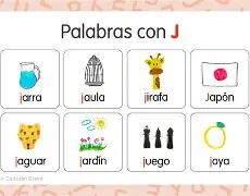 jcjkjdjs
